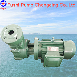 1WZ Marine Domestic Water Pump111.jpg